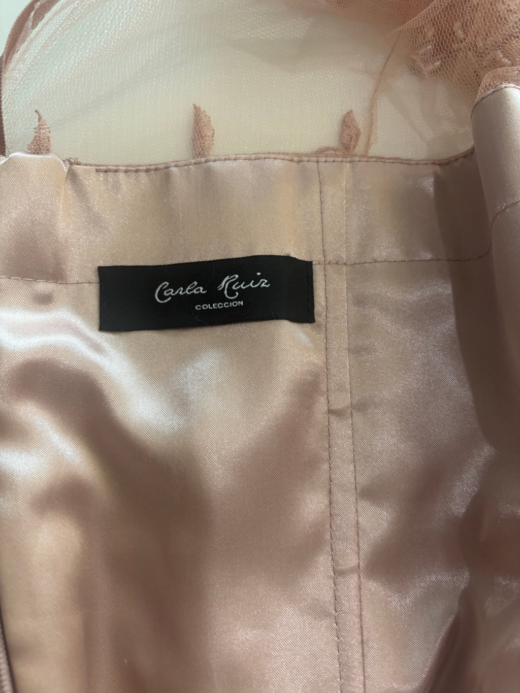 Carla Ruiz Embellished Lace Maxi Occasion Dress – Blush Pink – UK 18 BNWT
