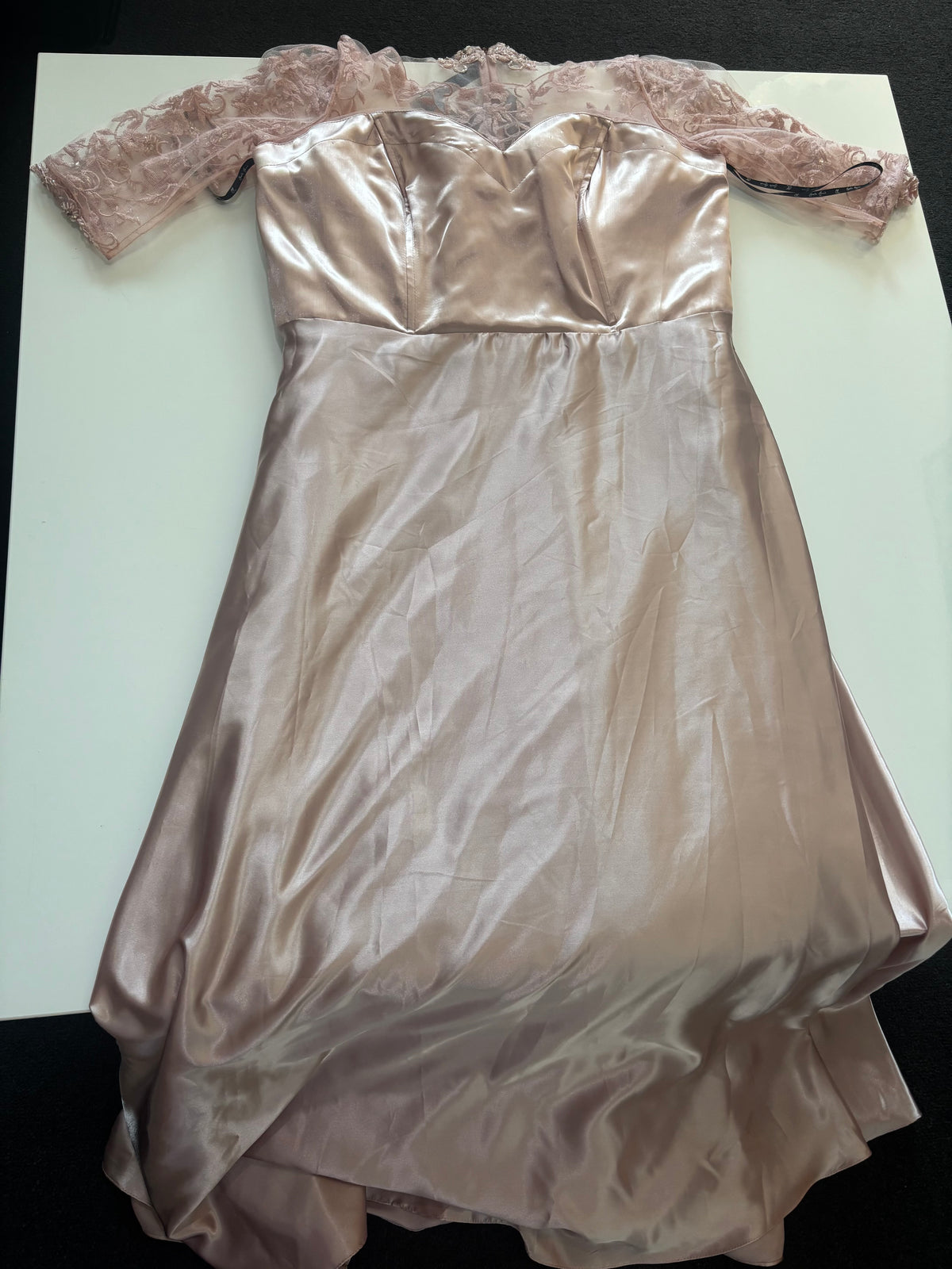 Carla Ruiz Embellished Lace Maxi Occasion Dress – Blush Pink – UK 18 BNWT